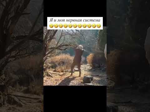 Что скрывает ваш