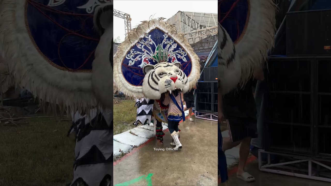 Hujan2 Barongan Makan Mayoret Cantik #shorts