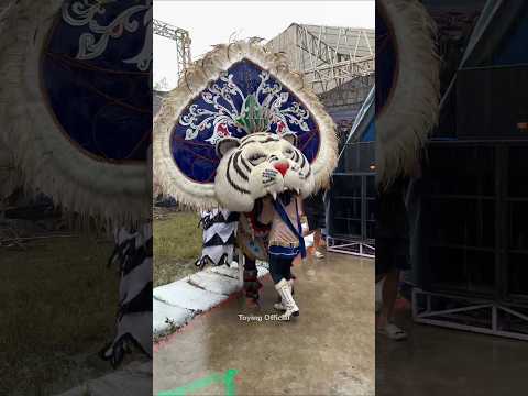 Hujan2 Barongan Makan Mayoret Cantik #shorts