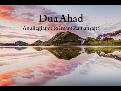      دعاء العهد الشيخ عبدالحي قمبر