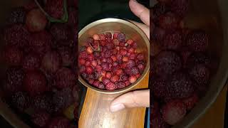 Kafal pakko | Kafal pako bird sound | kafal kumaoni song | kafal fruit tree #shorts #minivlog #vlog