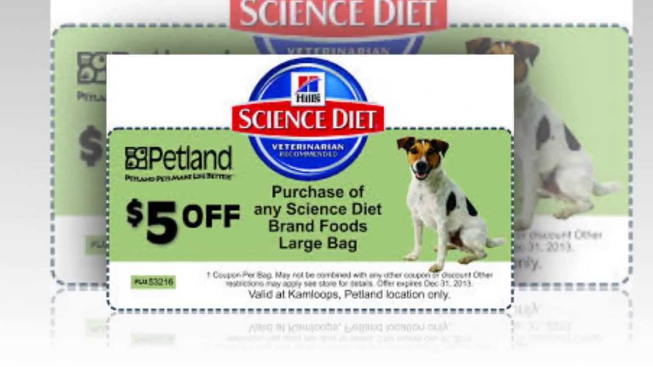 Science Diet Coupons Hills Science Diet Coupons YouTube Science Diet Coupons Hills Science Diet Coupons YouTube
