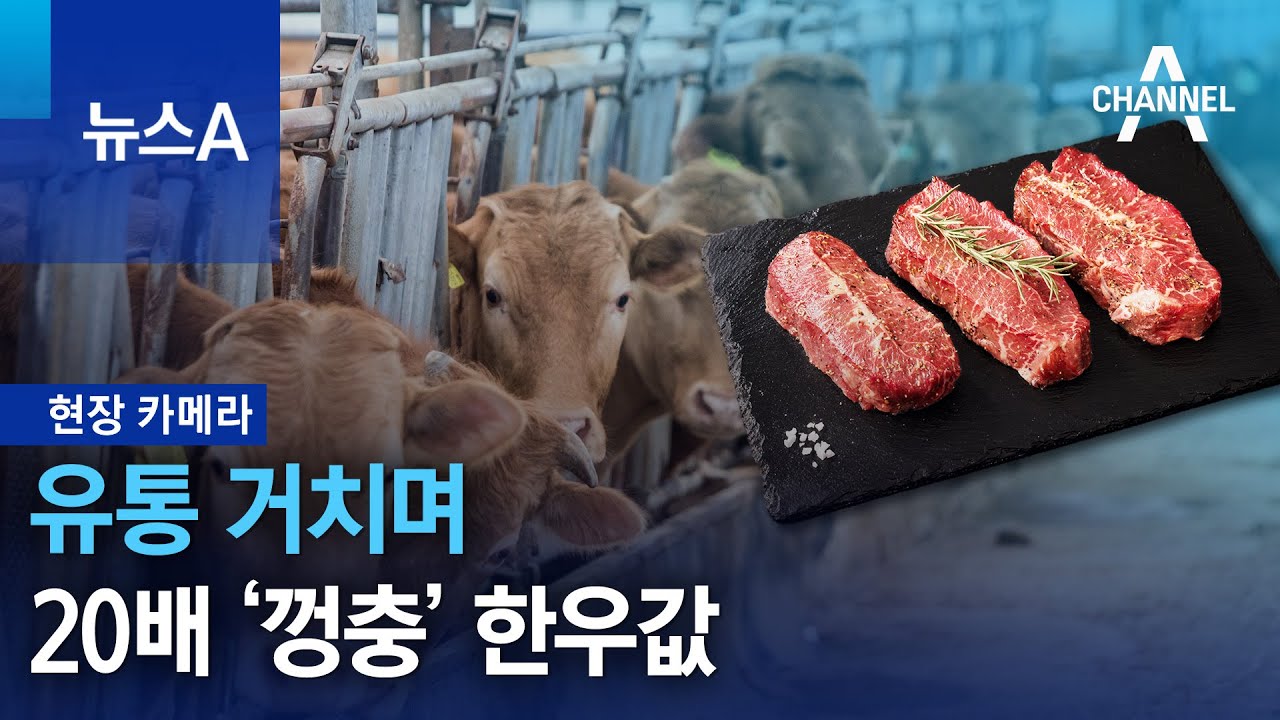 [현장 카메라]유통 거치며 20배 ‘껑충’ 한웃값 | 뉴스A