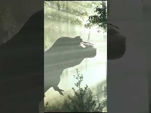 T Rex Roar