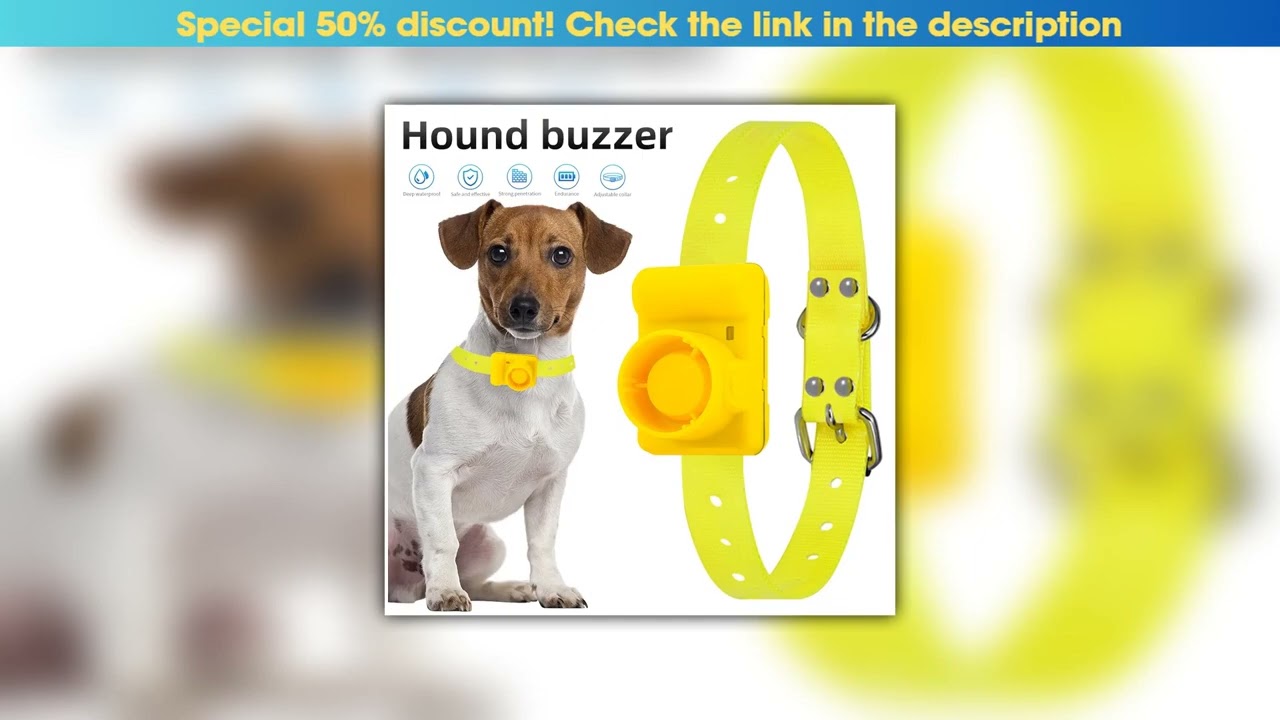 Review Rechargeable Hunting Dog Beeper Collars Waterproof Dog Training Collar Built-in Beeper Sound