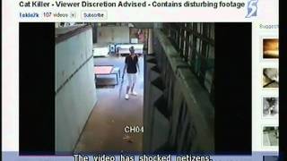 Malaysian Kitten Killer Was Fined Us67 - 27Jul2011