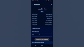 how to enable developer options on a Samsung galaxy s22 ultra android 12