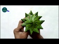 How to make date leaf flower complete tutorial  isum hacks