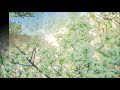 惜春の唄 Cover 健