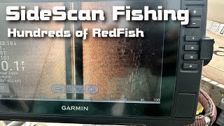 What does a school of RedFish look like on Sidescan