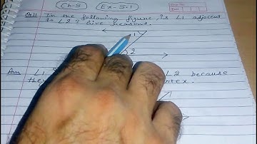 Q 11, Ex 5.1 -  Lines and Angles - Chapter 5  - maths class 7th - NCERT