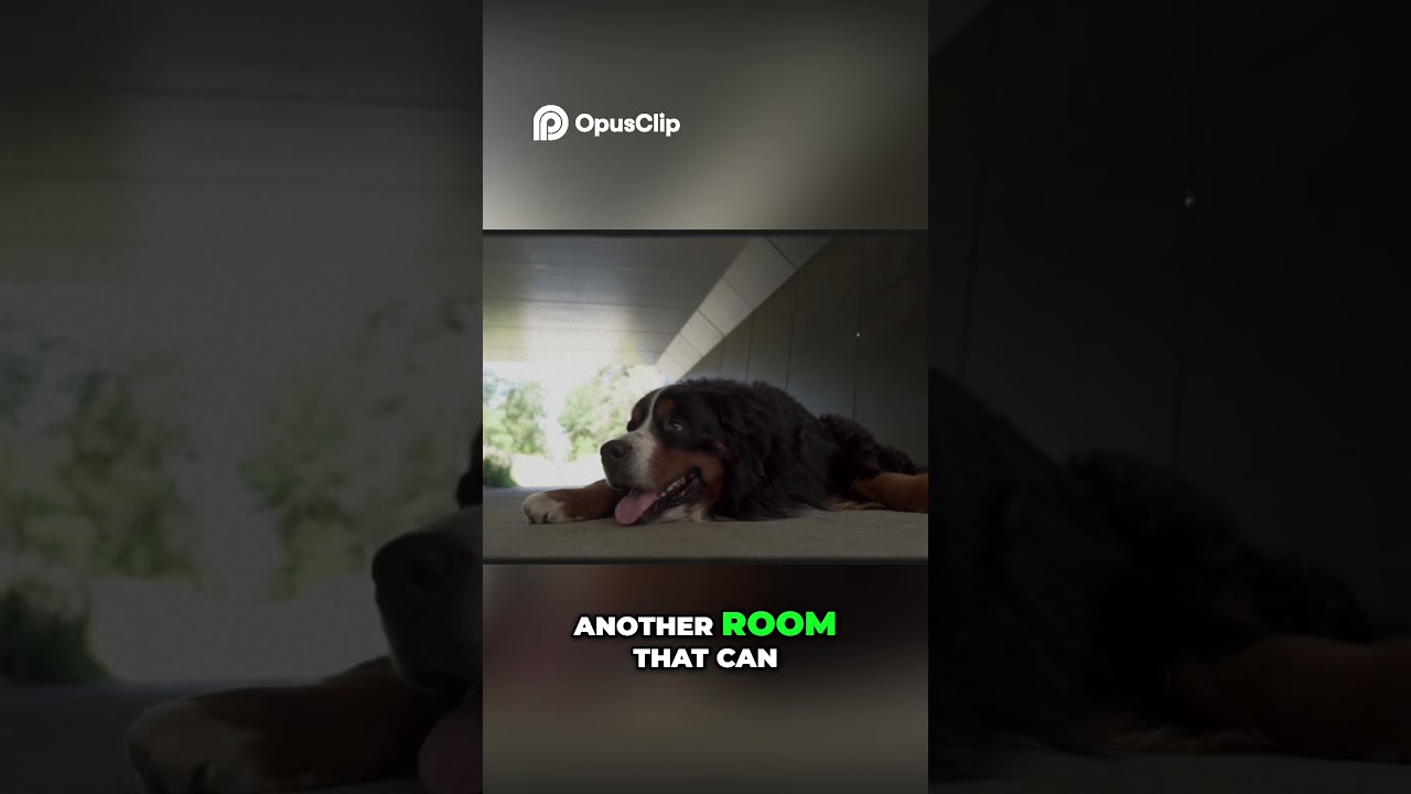 Creepy House Tour  The Creaky Stairs & Renovation Mystery