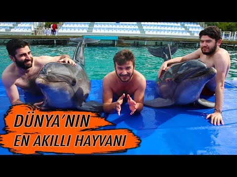 DÜNYANIN EN ZEKİ HAYVANI İLE BİR GÜN GEÇİRDİK!