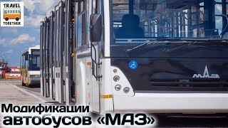 Разновидности и модификации автобусов МАЗ | Bus \