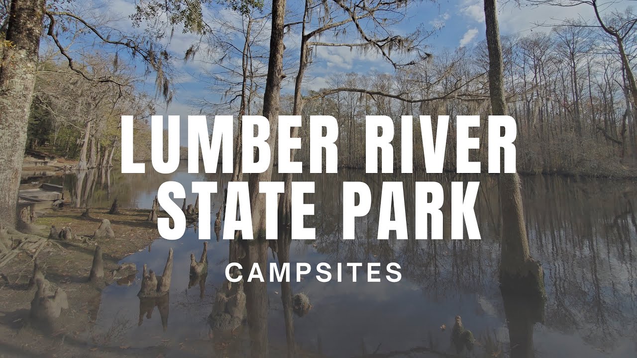 Lumber River State Park Campsites YouTube