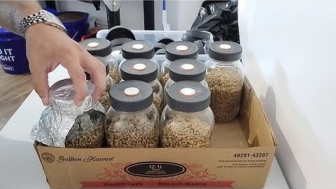 How to make filtered jar lids for mushroom grain spawn