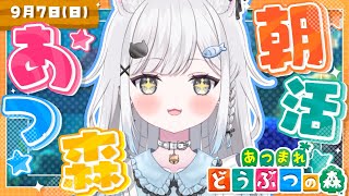 キムチキャットの配信のサムネイル画像