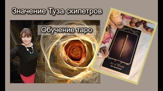 Фрагмент урока Туз жезлов перевернутый Райдер Уайт Фрагмент урока Туз жезлов перевернутый Райдер Уайт