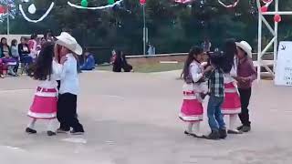 Bailable ceja de cebolletas Mezquital Durango