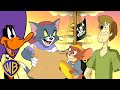 Tom Jerry S Pirate Party W Looney Tunes Scooby Doo And MORE KidsCartoons Wbkids Tom Jerry S Pirate Party W Looney Tunes Scooby Doo And MORE KidsCartoons Wbkids
