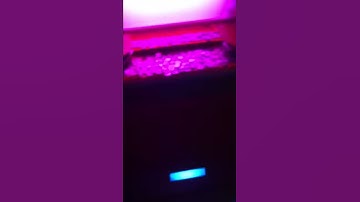 Coin pusher painted - progress