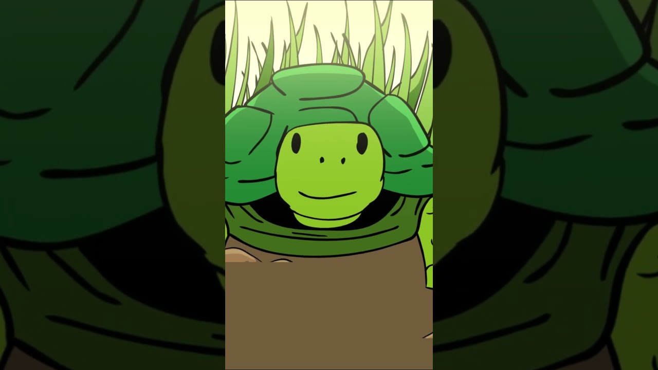 เต่า