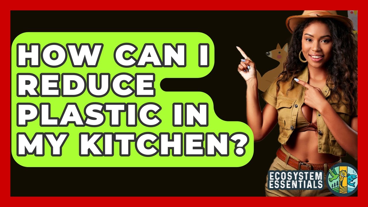 Eco Friendly Ways to Reduce Plastic in the Kitchen: Simple Smart Swaps