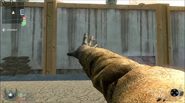 Blackops Launch Out Of Map Glitch (HD)