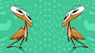 Bob Zoom Incredible Animation Effect Sponsored By Gamavision Csupo Effects