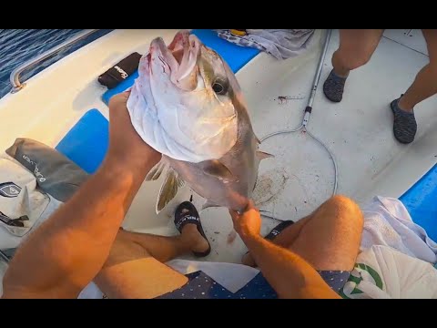 Video: Si Të Krijoni Një Armë Peshkimi Me Shtizë