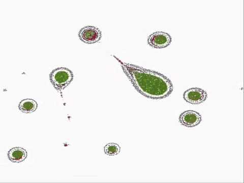 Evolutionary Swarm Chemistry: Result with "majority" competition function