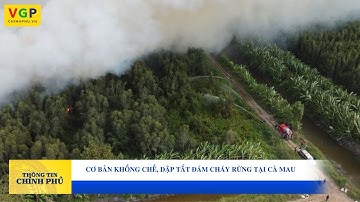 Cơ bản khống chế, dập tắt đám cháy rừng tại Cà Mau