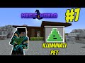 ILLUMINATI PET - Minecraft Magic World #7