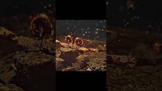 Bad ending of Black Myth wukong #wukong #gaming #viral