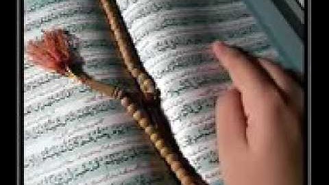 سورة الفاتحة ماتيسر من سورة التوبه بصوت الشيخ/ نبيل العوضي