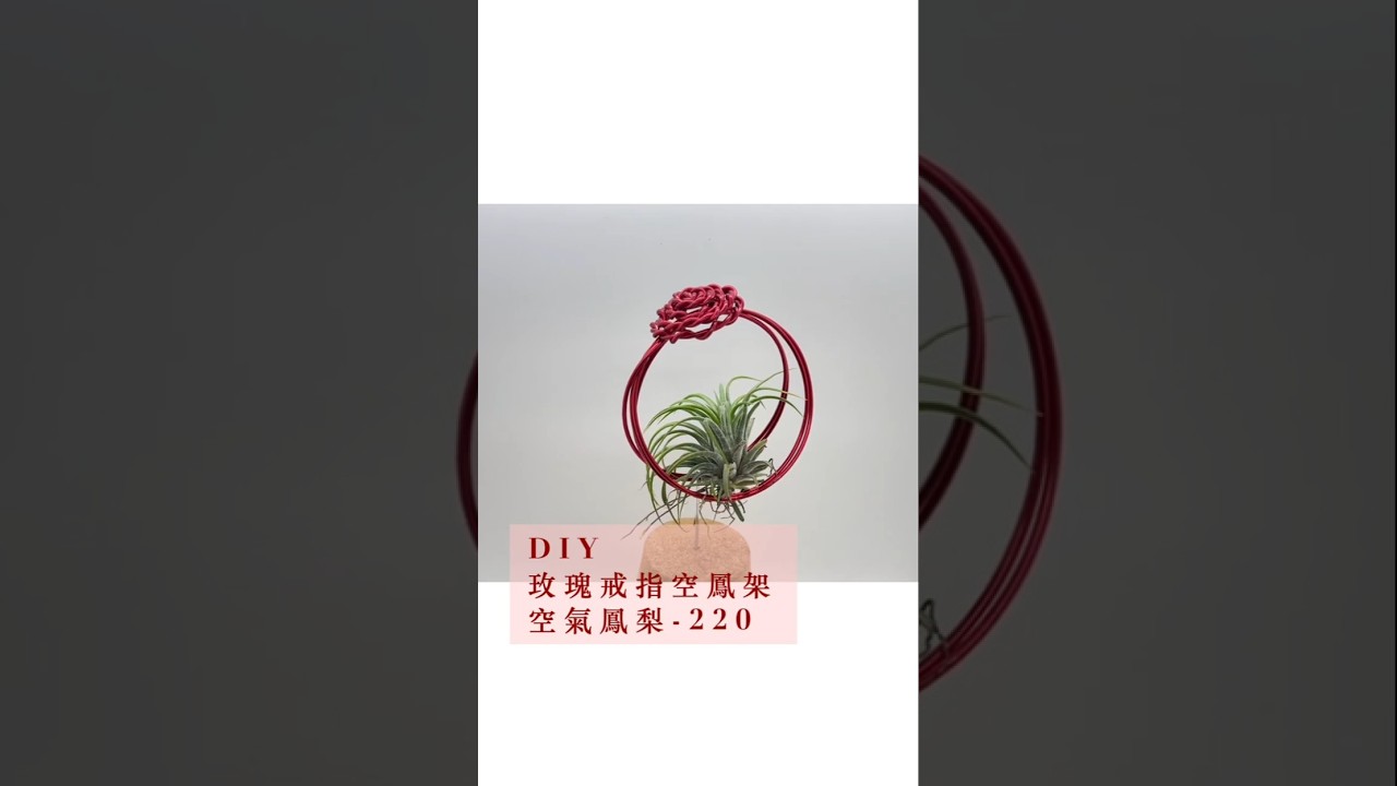 玫瑰系列的浪漫延續 🌹 從桌飾到「戒指空鳳架」：給植物一份指環般的愛 | Wire Rose Air Plant Stand