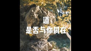 201610 道是否与你同在23424
