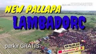 DITINGGAL RABI ,AYU ARSITA new pallapa lambadorc