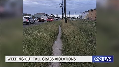 Corpus Christi Code Enforcement weed out tall grass violations