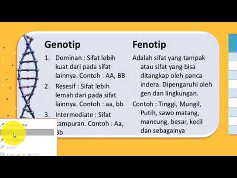 Video: Apakah rasio genotipe dan fenotipe selalu sama?