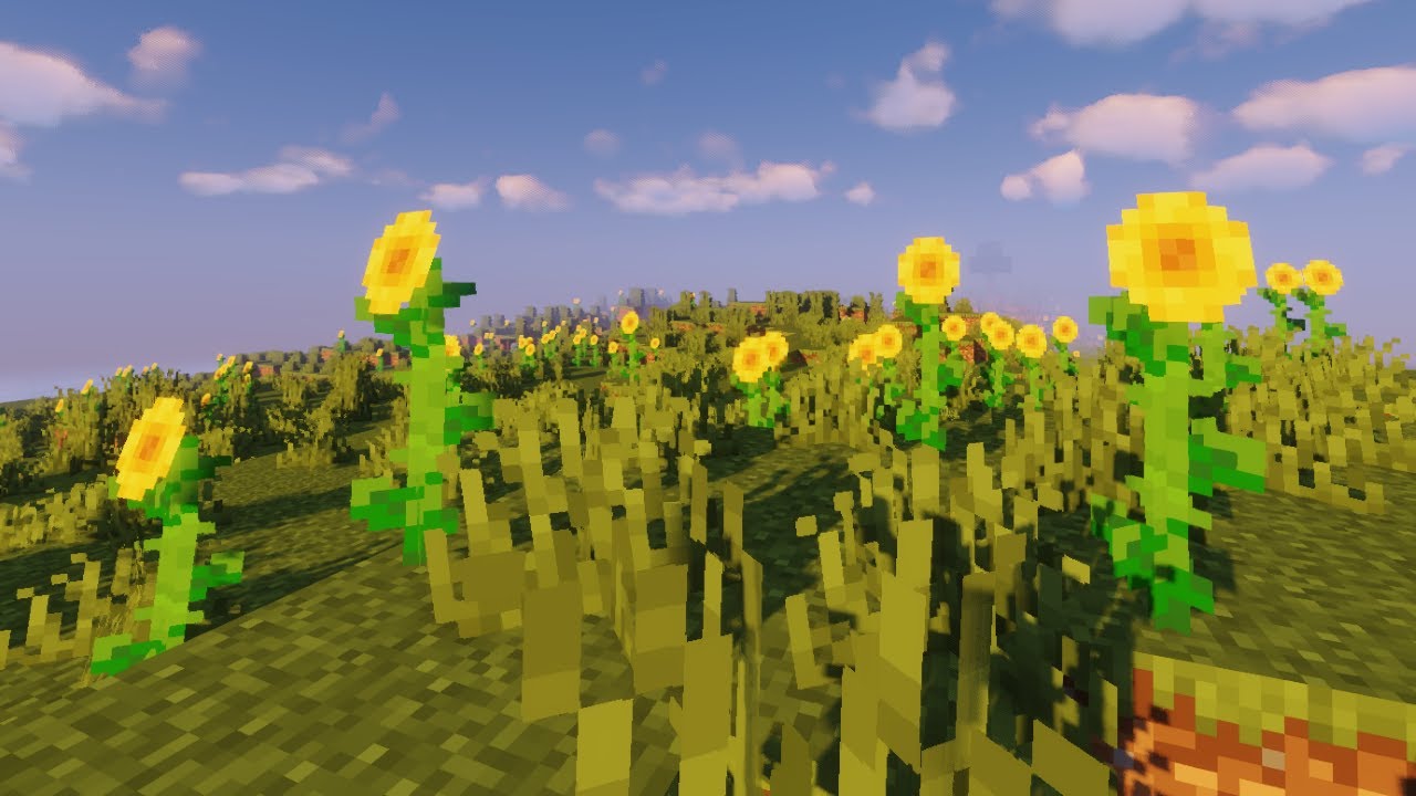 A Reunion | Soupernova | Suteki SMP