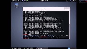 DoS for Kali Linux