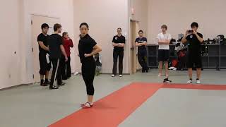 wushu taolu Chang Quan 46 tutorial