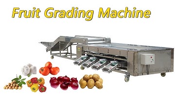 3-4t/h Potato Pepper Garlic Onion Sorting Machine | Automatic Vegetable Fruit Grading Machine