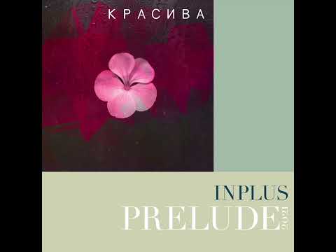 09. INPLUS -