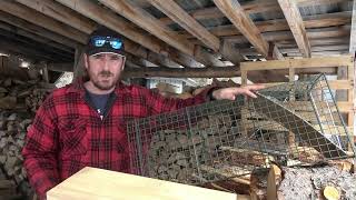 Two traps you NEED on your homestead