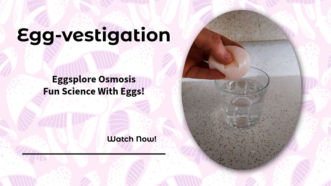 An Egg-speriment in Osmosis - Hands-On Learning