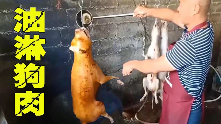 The process of making "oily crispy skin dog meat" is freshly baked and fried. - 天天要聞