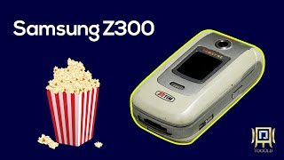 Samsung Z300