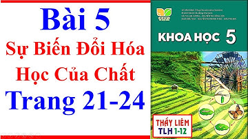 Khoa Học Lớp 5 Bài 5 | Sự Biến Đổi Hóa Học Của Chất | Trang 21 – 24 | Kết Nối Tri Thức